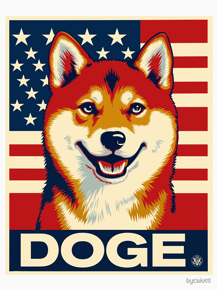 DOGE POSTER by bycaiotti