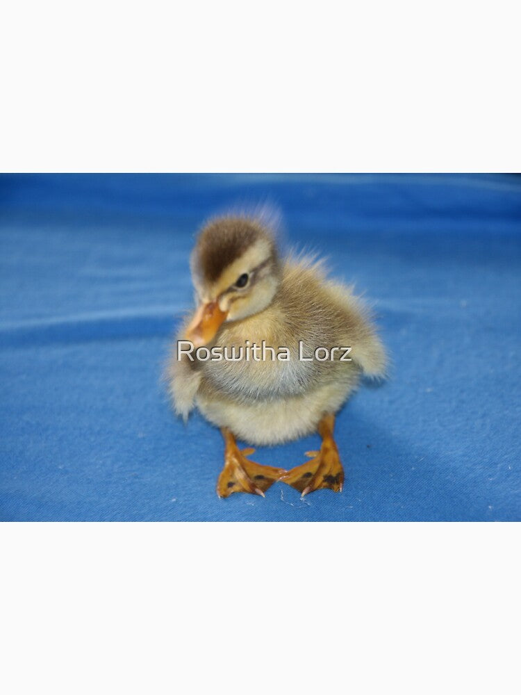 Sunny the running duckling by Roswitha Lorz