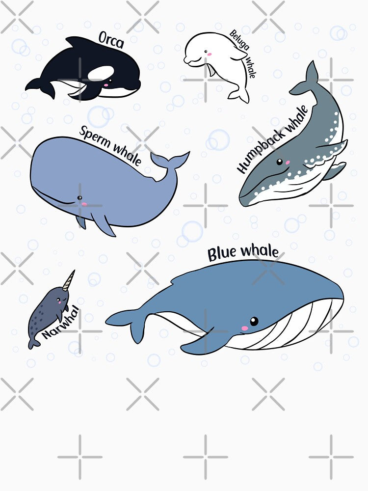 Cute Whales pack -  blue Whale orca humpback whale narwhal sperm whale and beluga whale by Yarafantasyart