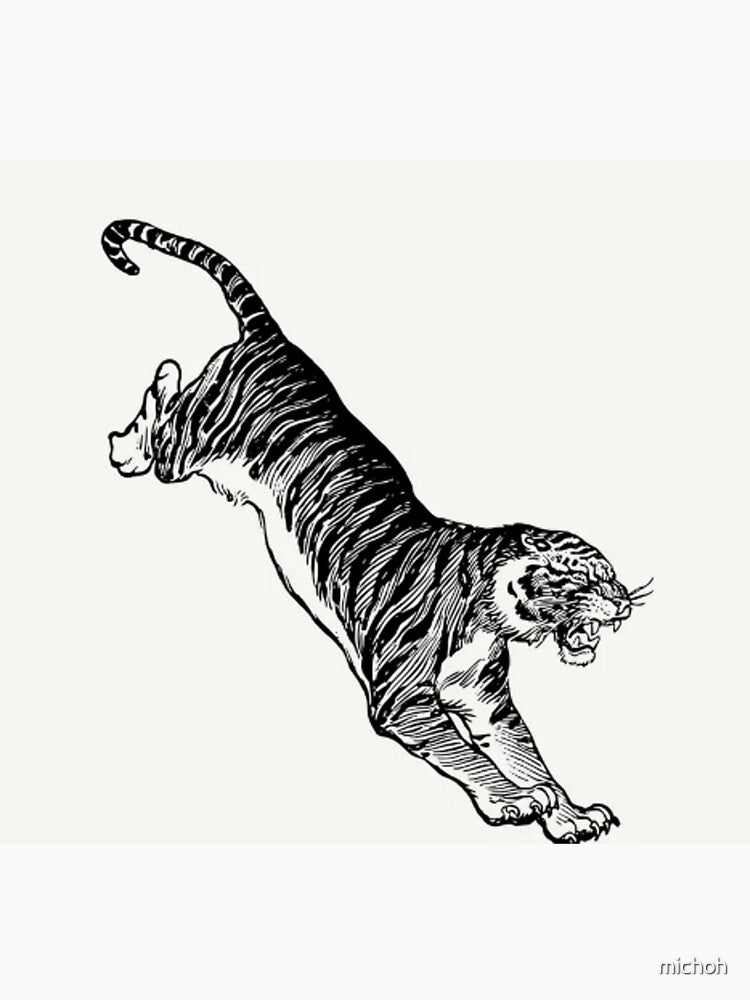 TIGER by michoh