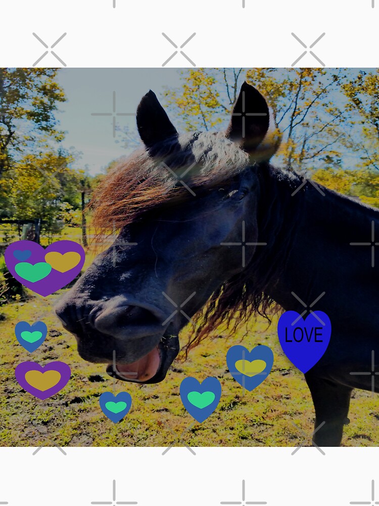 Adorable Black Horse Laughing Sending His Love by ncNatureVisions