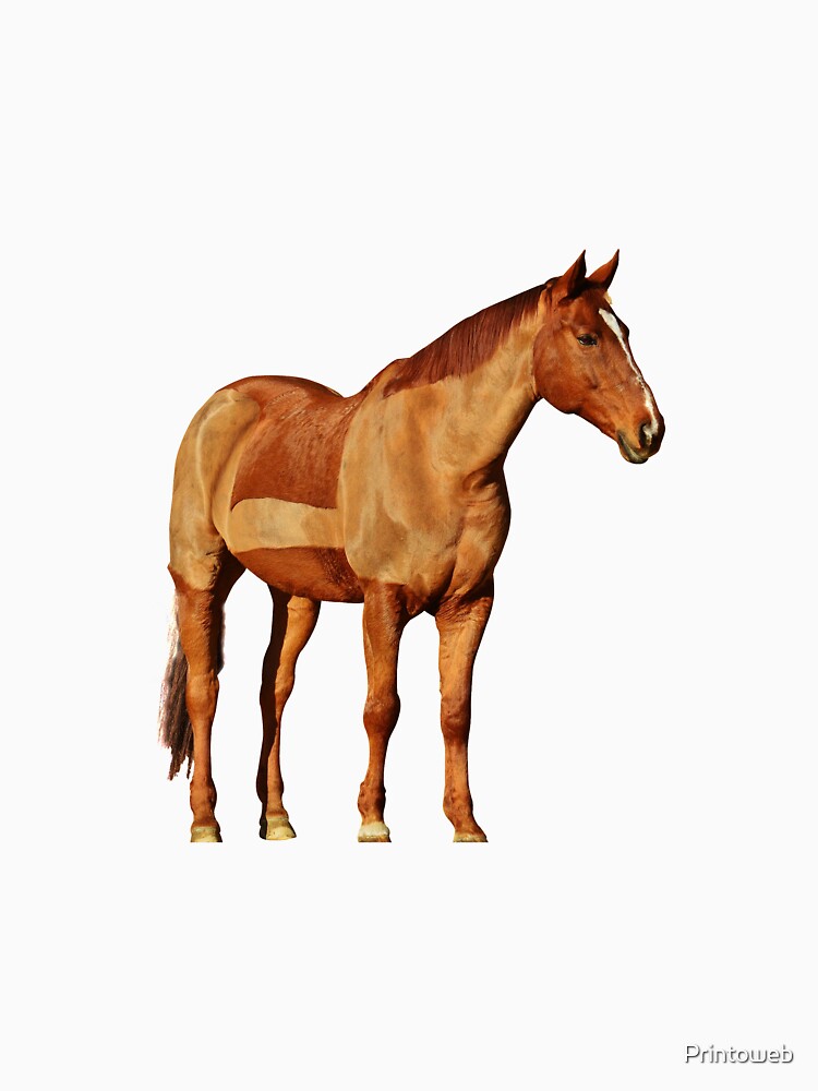 Love Horse? Buy Exclusive Horse Shirt/Horse Clothing/Horse Accessories by Printoweb
