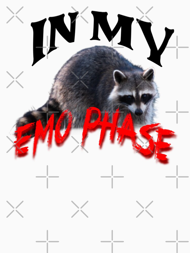in my emo phase raccoon by atlasbackache