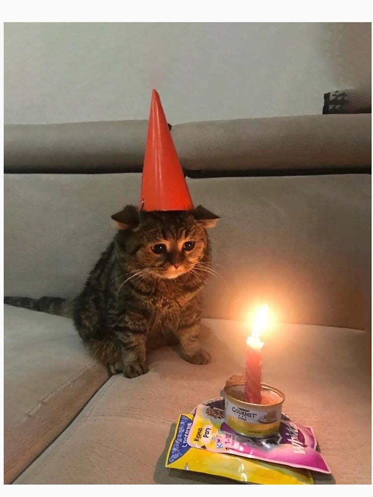Sad Birthday Cat Meme by Greg Heffley