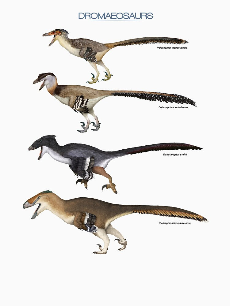 Dromaeosaurs by SerpenIllus