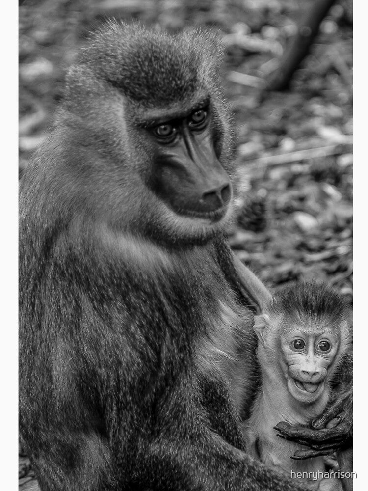 Mother and Son by henryharrison