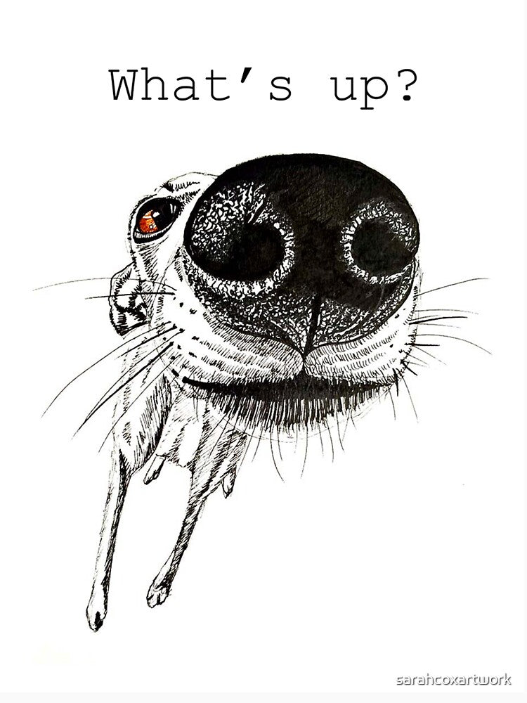 What's Up Dog by sarahcoxartwork