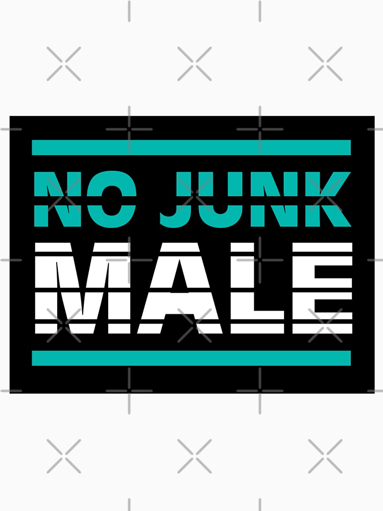 Gifts For Single Girls - No Junk Male - Single Gay Guy Gifts - Single Lgbt Gifts - Just Divorced Gifts by happygiftideas