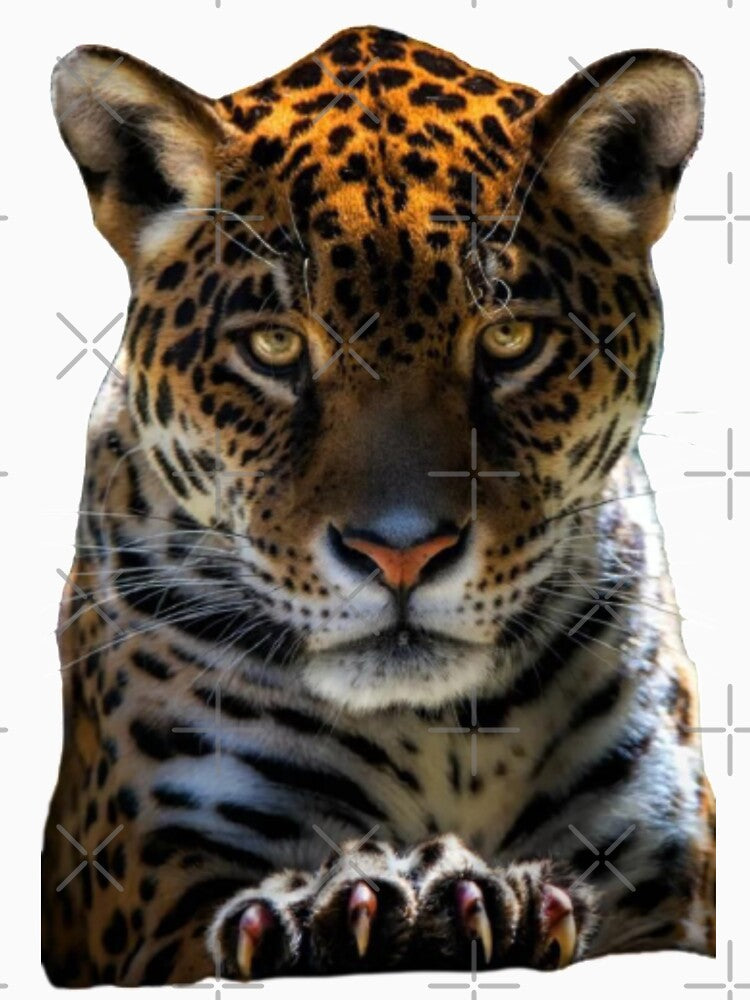 Tiger looking 3D Animations. by Nahas2020