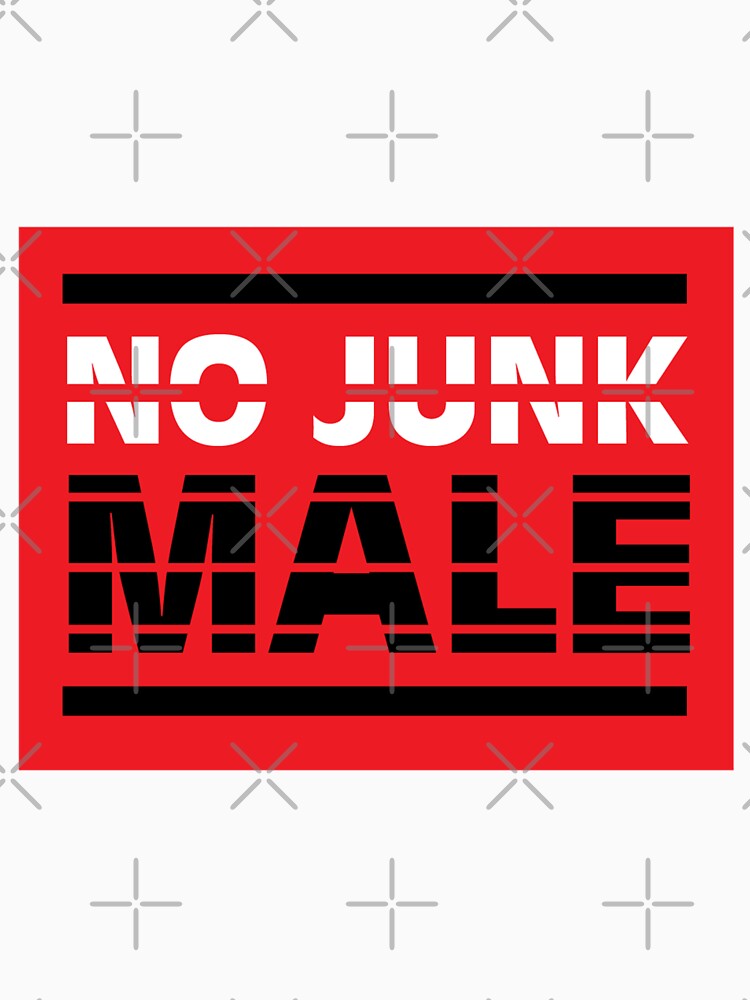 No Junk Male - Single Gay Guy Gifts - Single Lgbt Gifts - Just Divorced Gifts - Funny Single Best Friend by happygiftideas