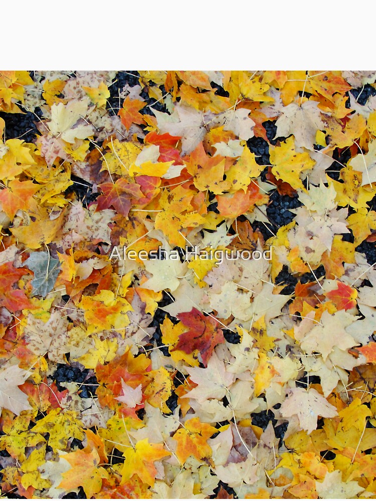 Fall Leaves by Aleesha Haigwood