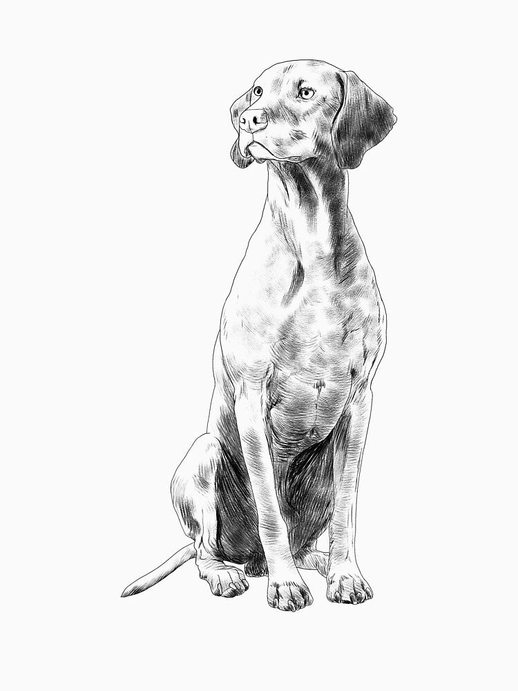 Sitting Hungarian Vizsla Dog by alwe-designs