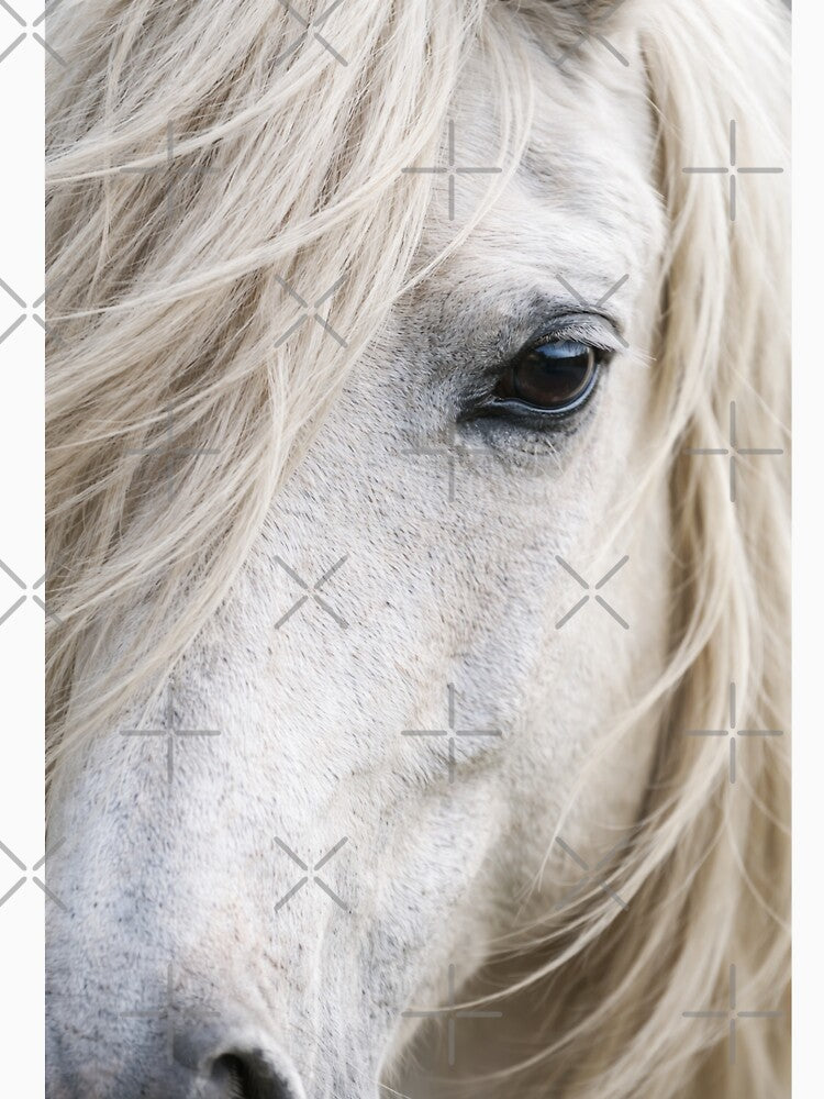 White horse Angel,  Close up by LuluLeb