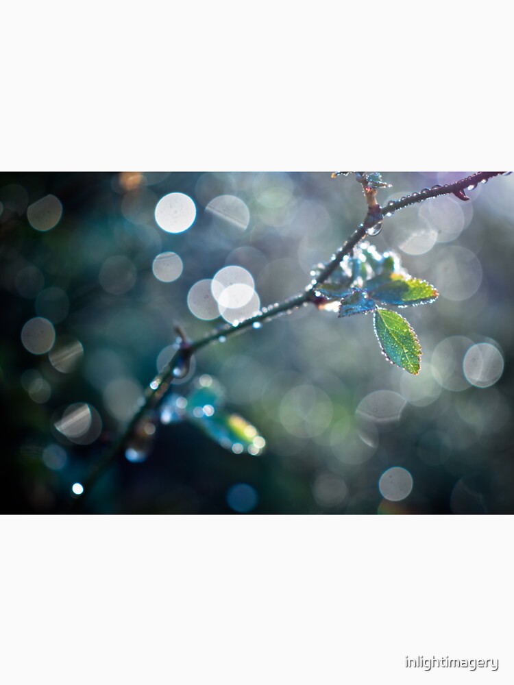 Gratitude by inlightimagery