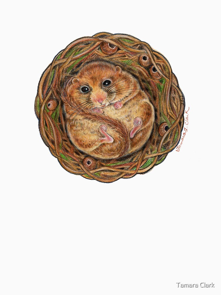 Hazel Dormouse (Muscardinus avellanarius) by Tamara Clark