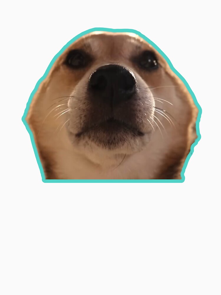 Cute Viral Dog of Tiktok Instagram by PatternInArt