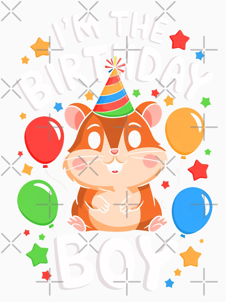 Funny Hamster Birthday Boy Bday Boys Girls Kids by rafaeltto