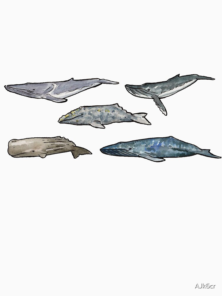 Big Whales by AJk6cr