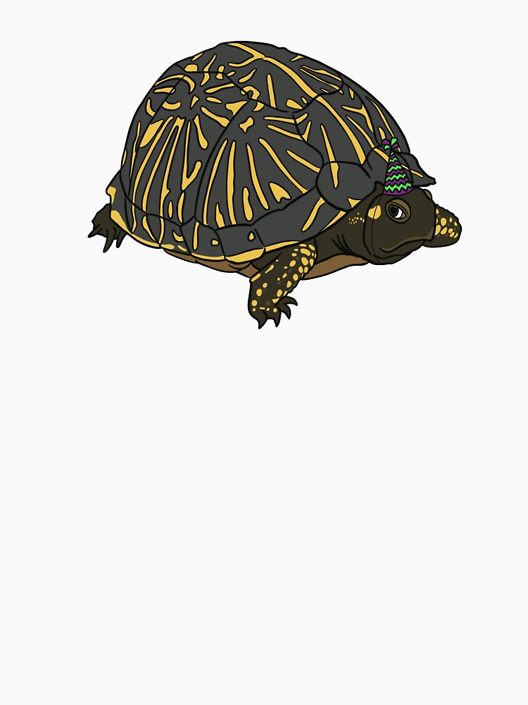 Colorful Party Turtle by Luke Landwehr