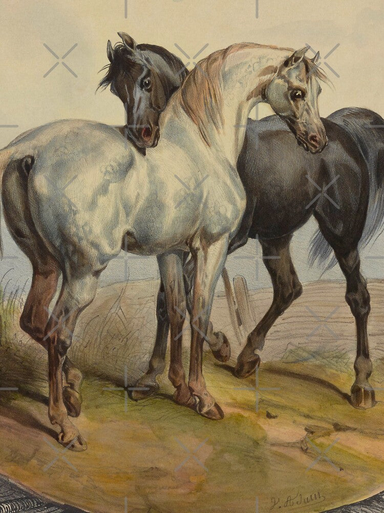 Beautiful Horses Lithography (1838) by Vintage-TM