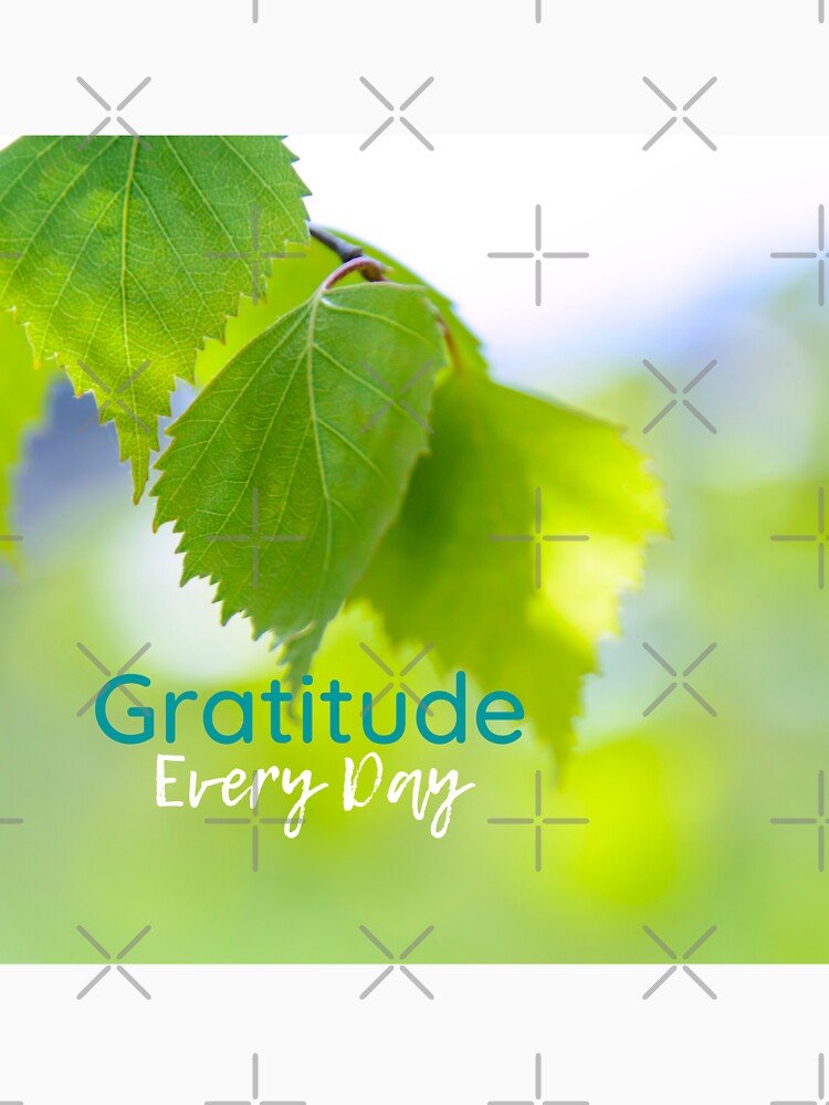Gratitude Every Day 2 by Mind2Line