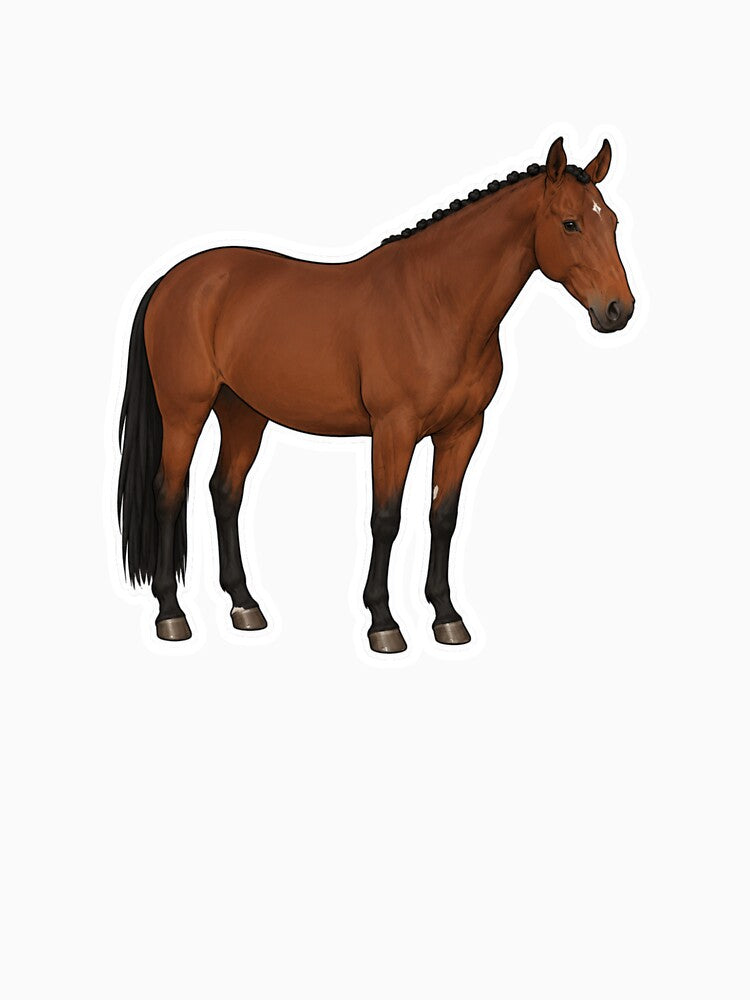 Classic Equestrian Bay Horse Sticker by RealEqEdit