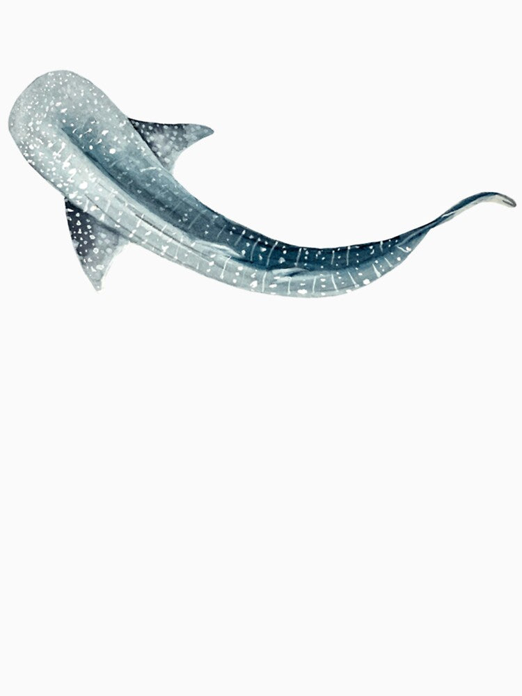 Whale shark watercolor by NouveauUShh