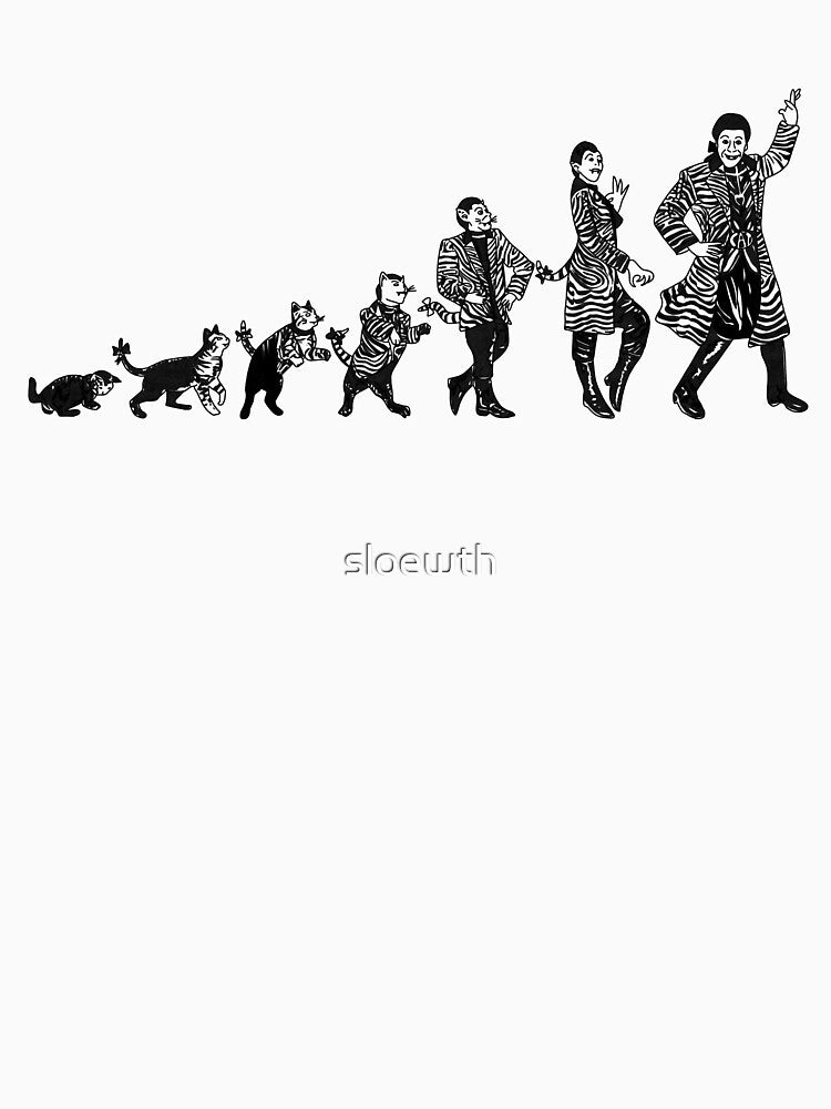 The Evolution of Cat by sloewth