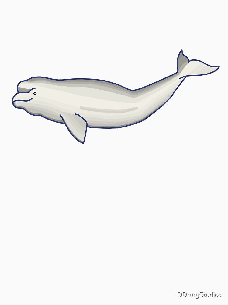 Beluga Whale by ODruryStudios