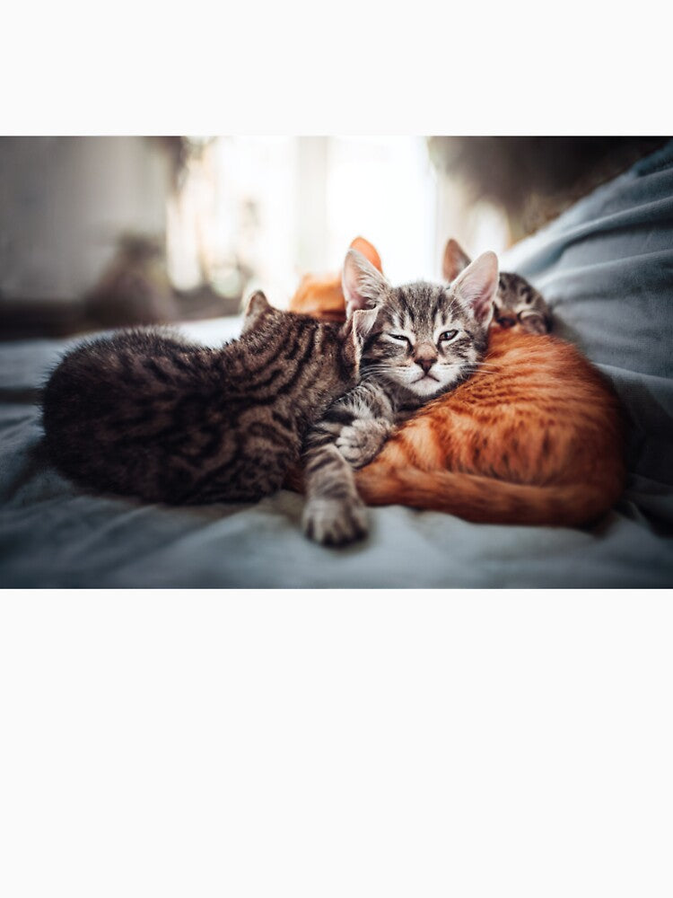 Sleepy kitties by hadissima