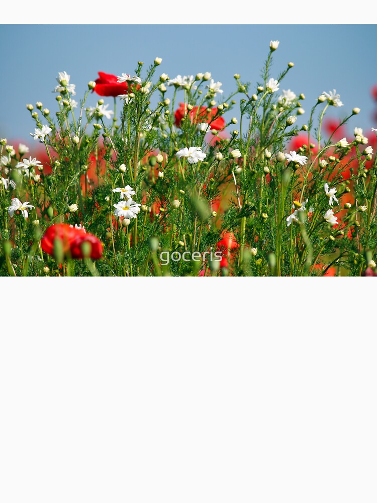 Wildflowers close up, nature background, spring season by goceris