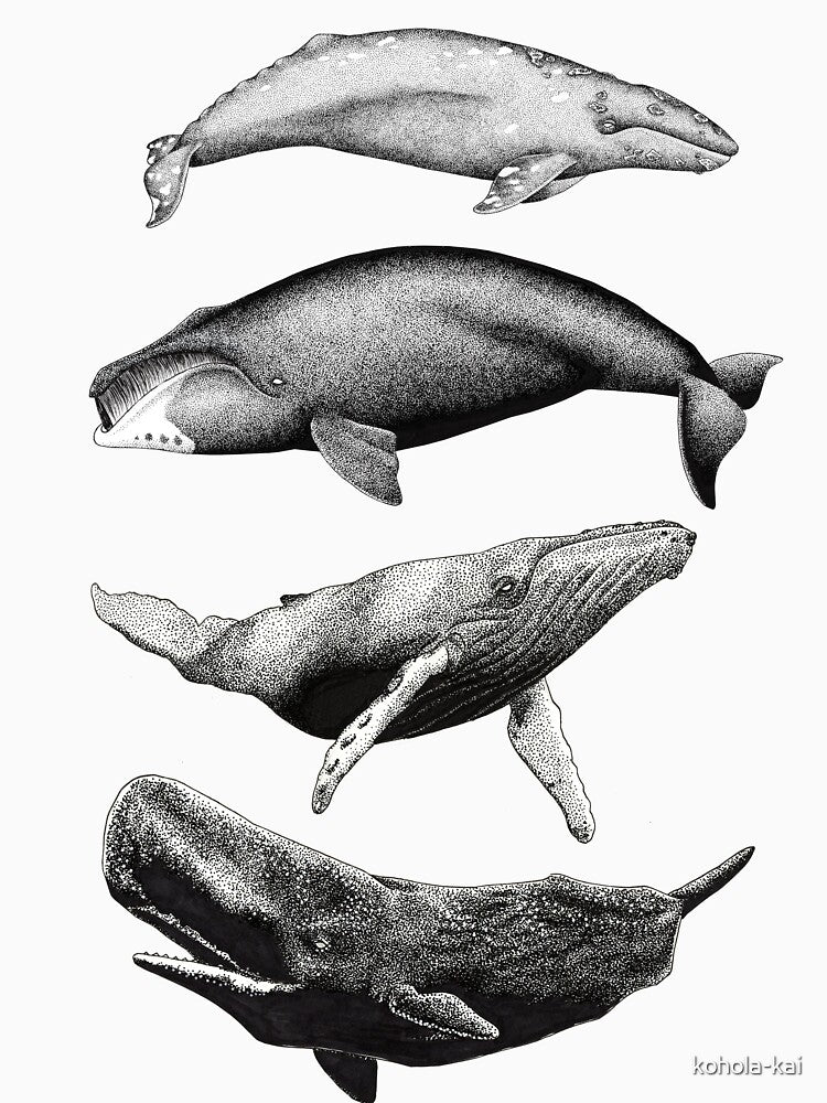 Everything whale be alright by kohola-kai