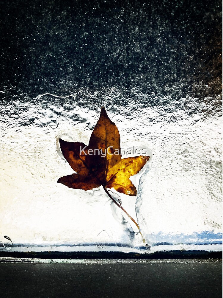 Goodbye Fall, Hello Winter by KenyCanales