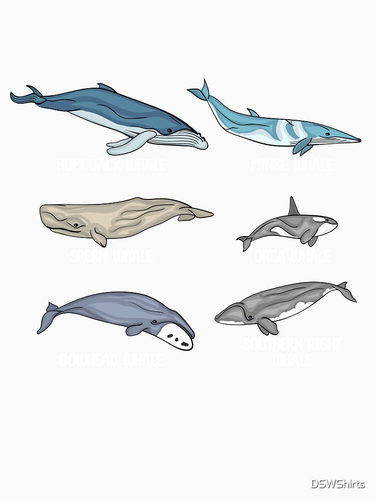 Whales Species Underwater Animals Gifts Orca Whale by DSWShirts