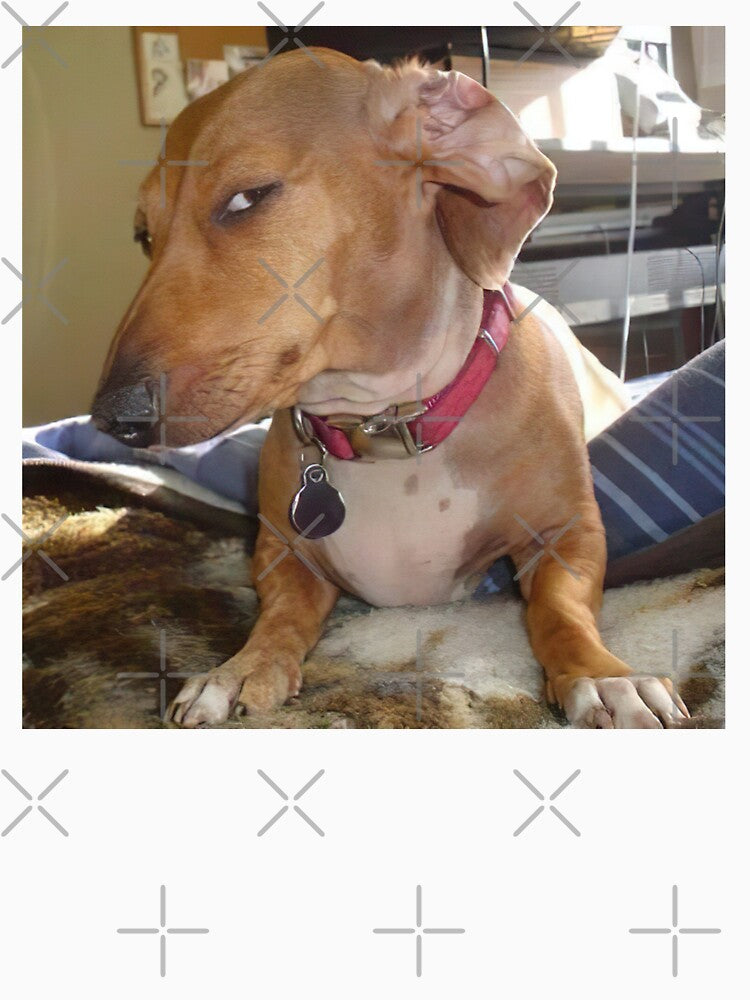 SIDE EYE DOG MEME SUS by Roni-KH