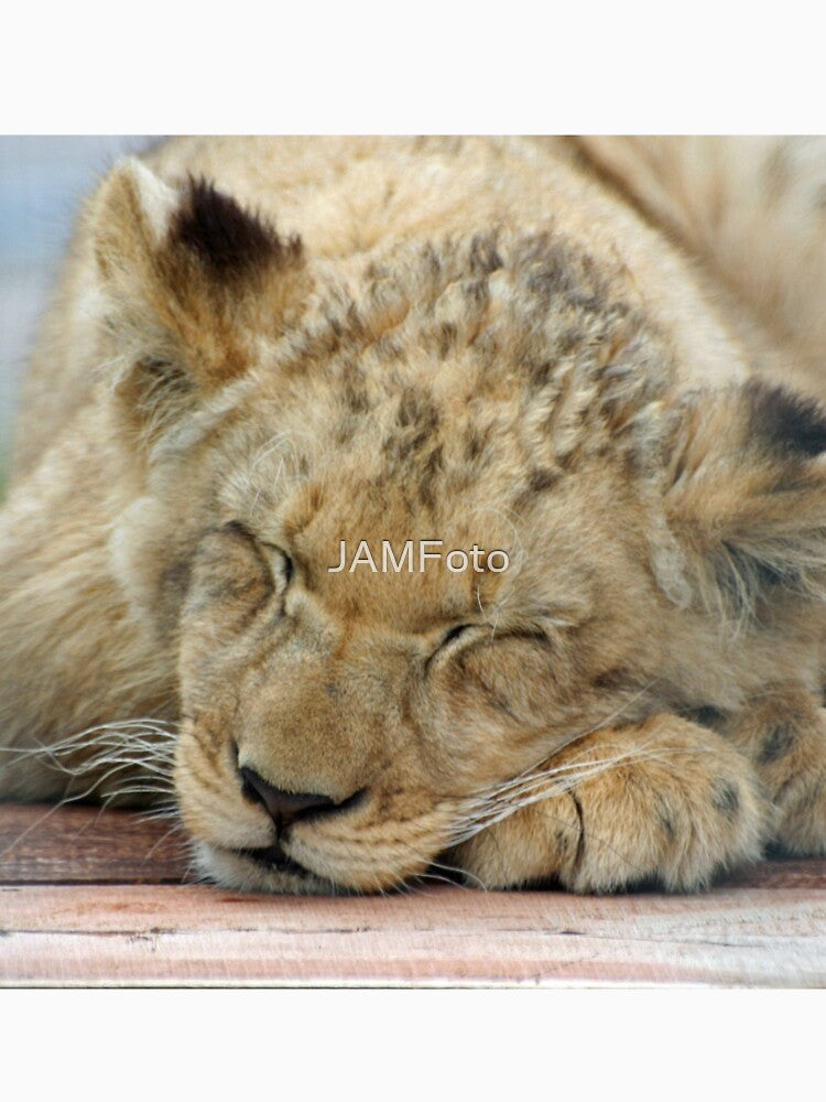 Lion 003 by JAMFoto