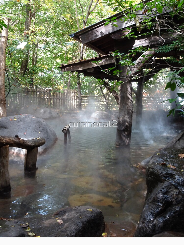 Tranquil Onsen in Kurokawa Japan by cuisinecat2