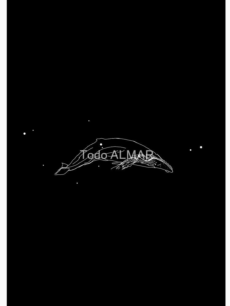 Humpback by Todo ALMAR