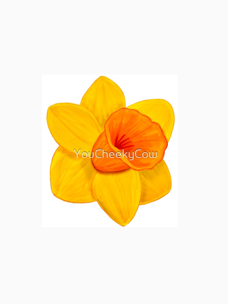 Daffodil For Spring by YouCheekyCow