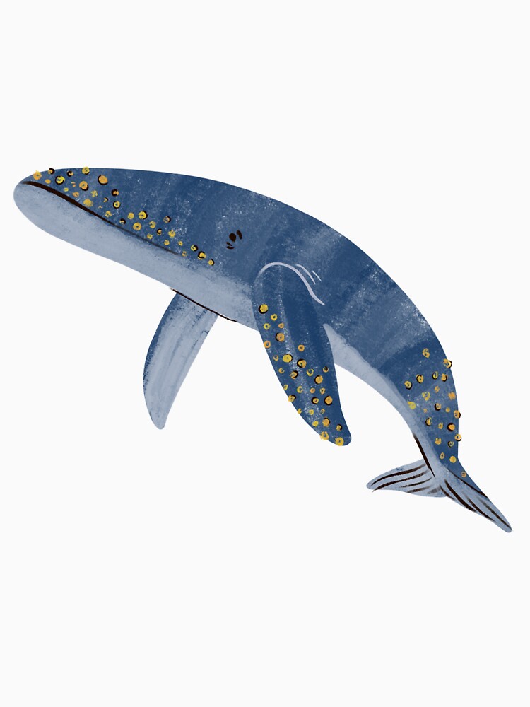Blue Whale by SwiftTees