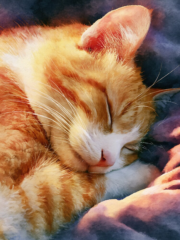 Content Orange Cat Curled Up Sleeping Peacefully Cozy Warm Art by Drissakembili