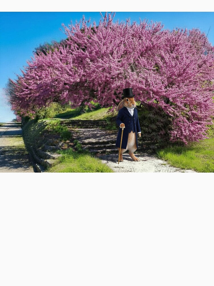 The Gentleman Rabbit Beneath the Judas Tree by pasalagabriela
