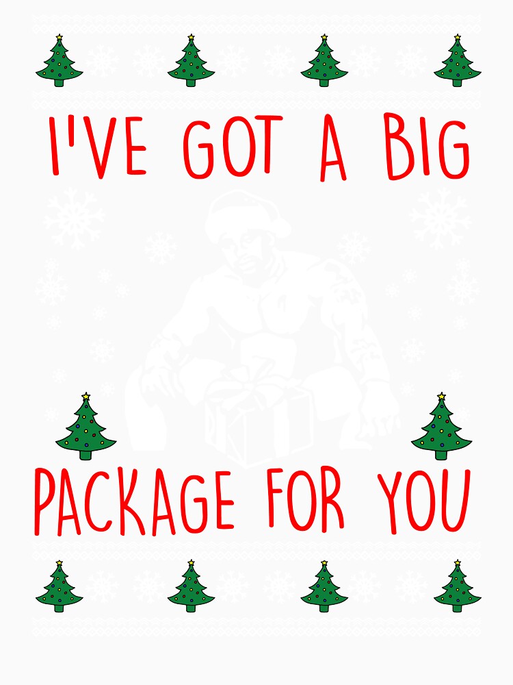 I've Got A Big Package For You Christmas design T-Shirt by DankMerchant