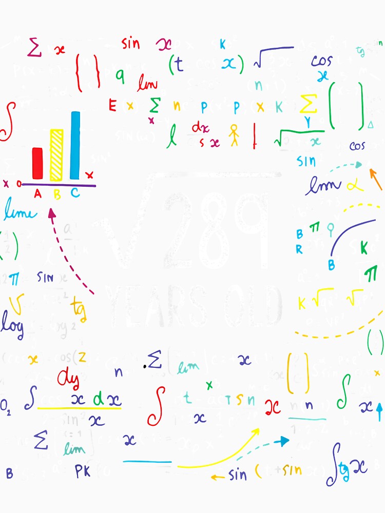 Square Root Of 289 17th Birthday 17 Year Old Gifts Math Bday by Plinio12323