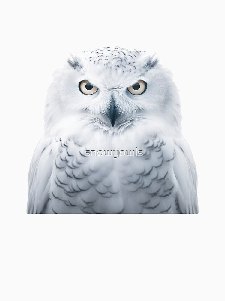 Male Snowy Owl by snowyowls