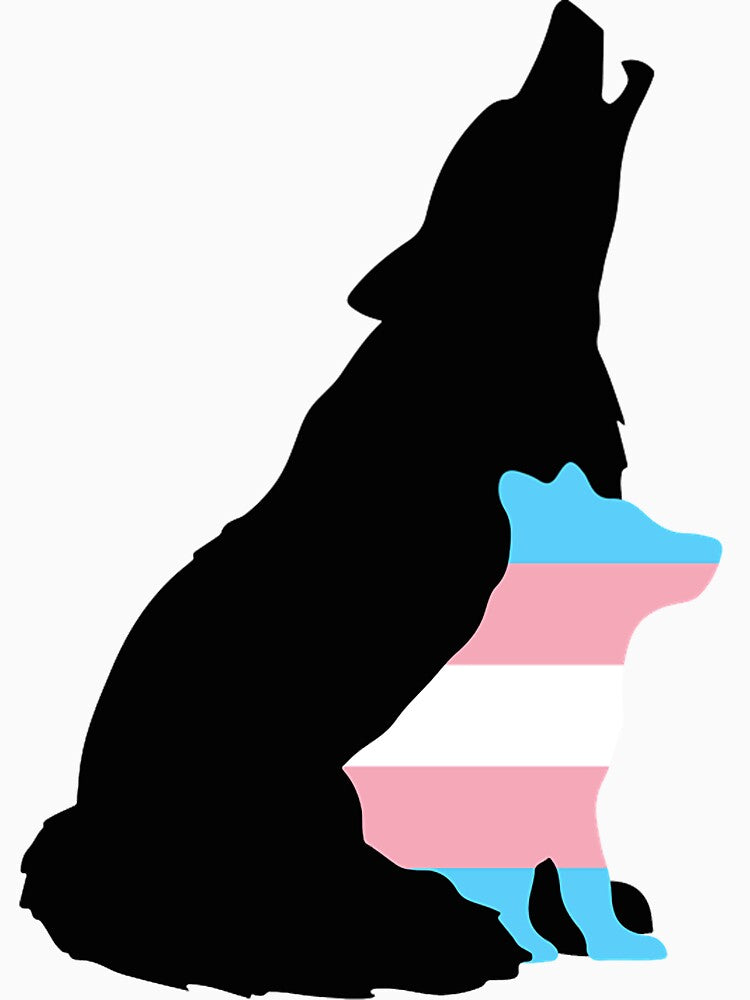 DEFEND TRANS YOUTH (2) by hasbury8