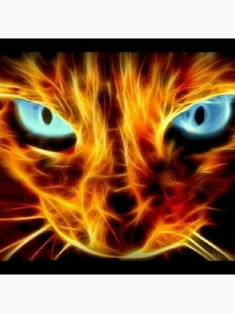 Fire cat by Jhon0301