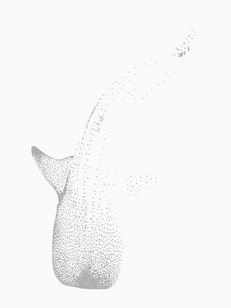 Whale Shark Rhincodon typus 1589 by NouveauUShh