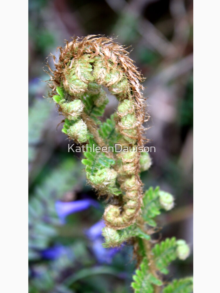 fern by KathleenDawson