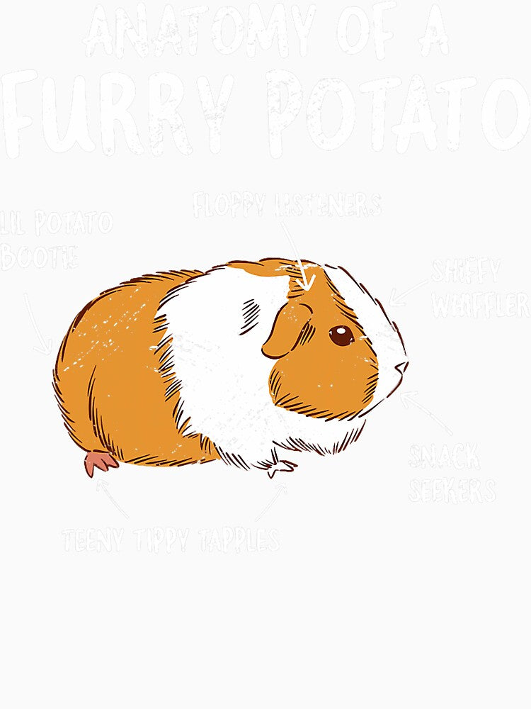 Guinea Pig Anatomy Of Furry Potato Funny Cavy by trinhtruongevb